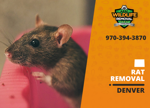 Humane Rodent Control and Removal