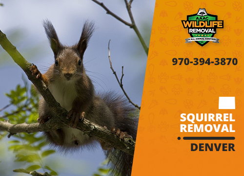 Peachtree City Flying Squirrel Removal - Webbcon Wildlife Removal