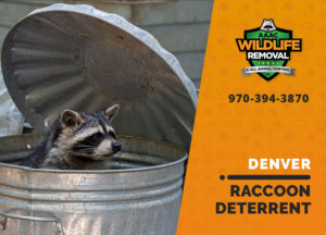 denver raccoon deterrents
