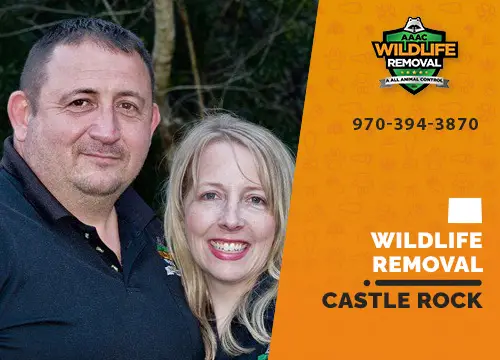 Castle Rock Wildlife Removal professional removing pest animal