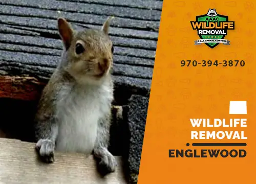 Englewood Wildlife Removal professional removing pest animal