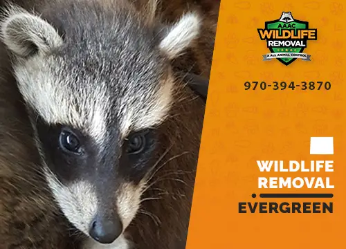 Evergreen Wildlife Removal professional removing pest animal