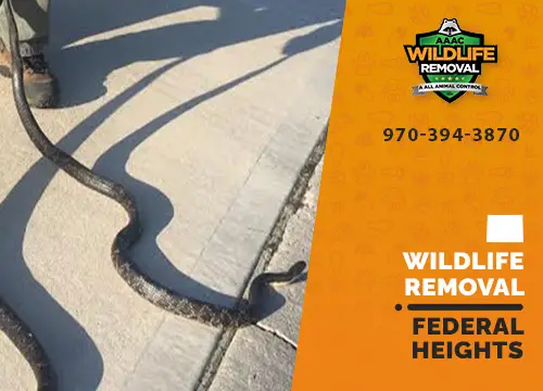 Federal Heights Wildlife Removal professional removing pest animal