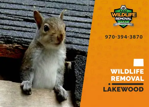 Lakewood Wildlife Removal professional removing pest animal
