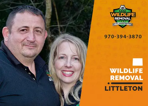 Littleton Wildlife Removal professional removing pest animal