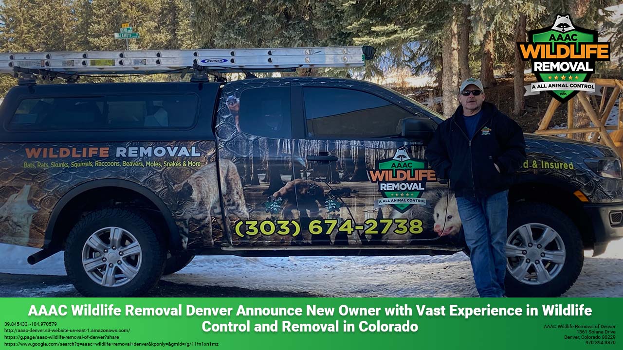 AAAC Wildlife Removal of Denver owner Dean Grose in front of his branded truck